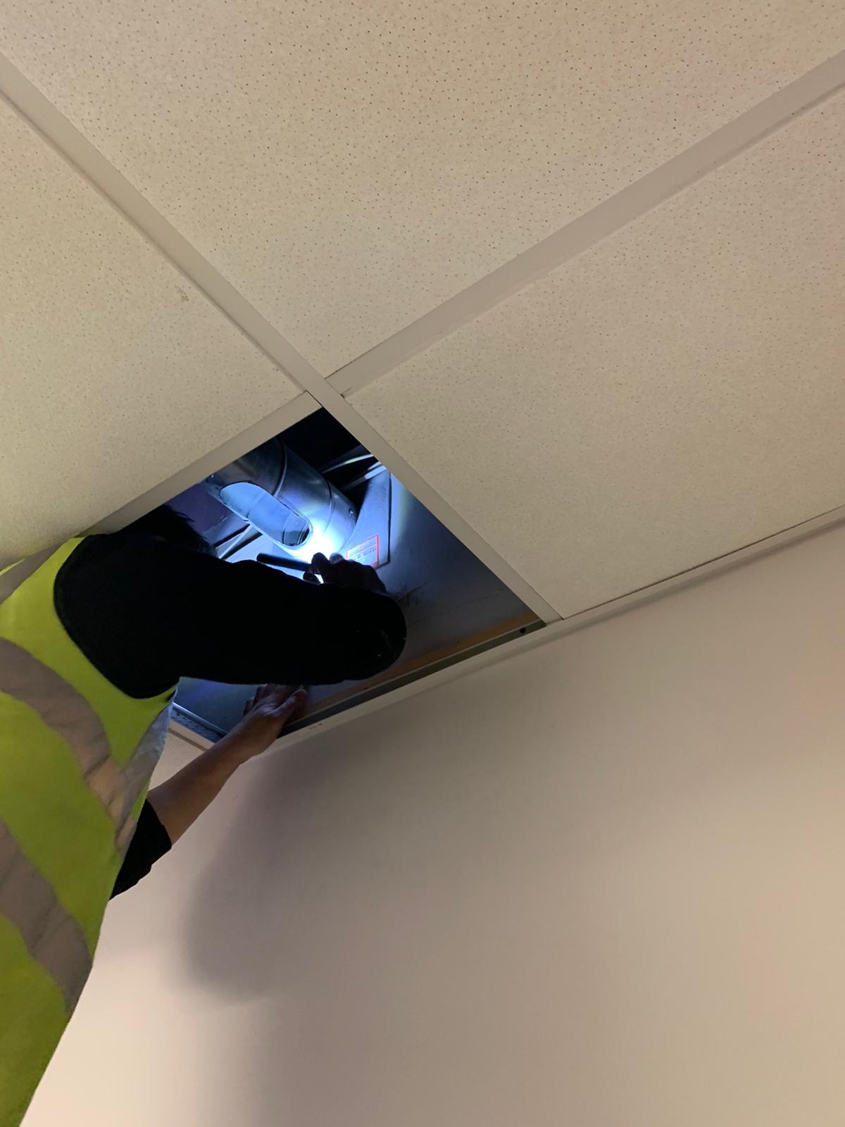 134ffd85-084b-49d2-9b78-3ba6c24e3499