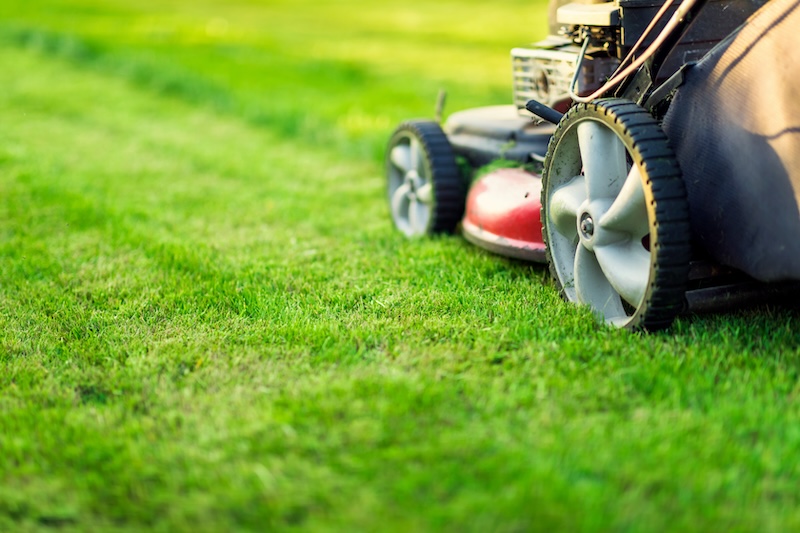 grass cutting